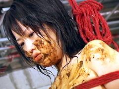 hentai-0015【スカトロ動画】うんこ拷○奴○2